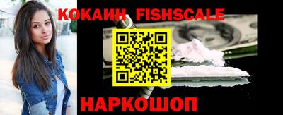 a pvp Камышлов