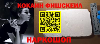 a pvp Камышлов