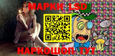 a pvp Камышлов