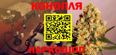 сатива Кандалакша