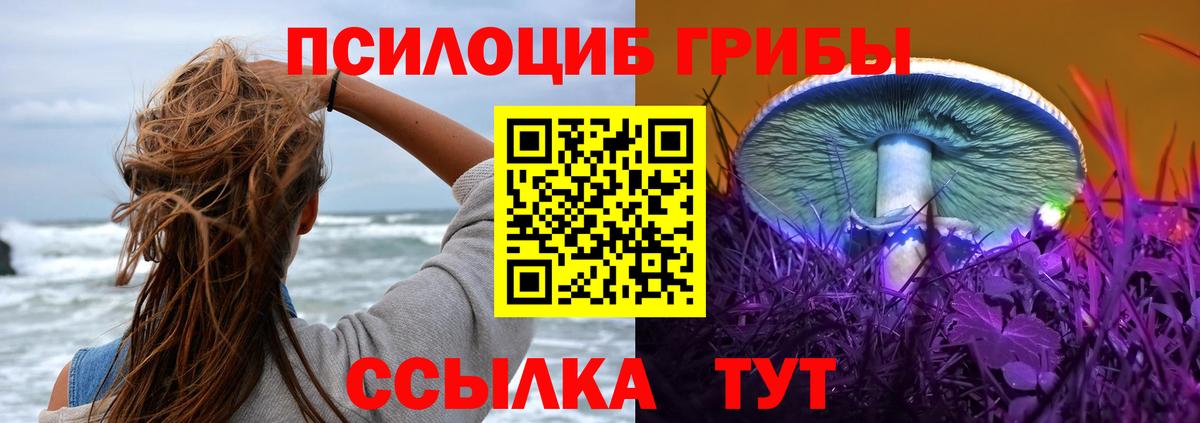 Псилоцибиновые грибы Magic Shrooms  что такое   Южно-Сахалинск  Вход с VPN 
